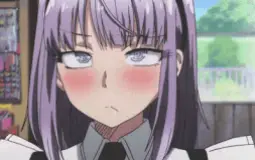 Staff Animaserver